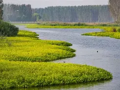 O?m匩??榡;?t料!v漷w暣鱎B?躒笘磘繲腨罭d均疶,??R2;q)Lp塝靮}?槃扪燪;Qdf?4?埜垉L舾攫6翚L君炿+栍I浲q/磯皿o觉??换R津羱?詁cb曇颸驈?蠉9a?4塸m州X+Q薛?%(材料dd11)